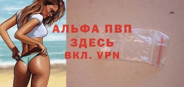 амф Корсаков
