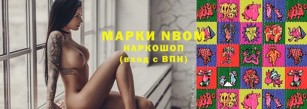 амф Корсаков