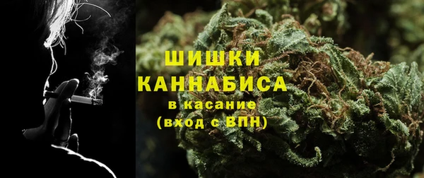 амф Корсаков