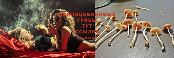 амф Корсаков