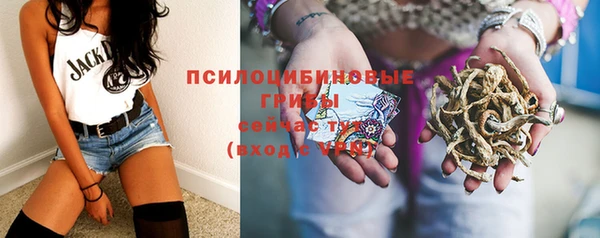 амф Корсаков