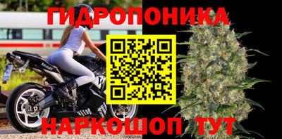 jwh Нальчик