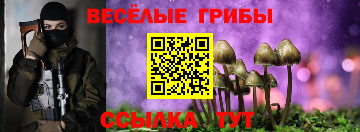 Хасавюрт  как найти   Псилоцибиновые грибы прущие грибы  Вход с VPN  Псилоцибиновые грибы ЛСД 